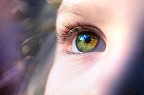 8 nörogelişimsel alan