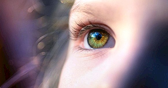 8 nörogelişimsel alan