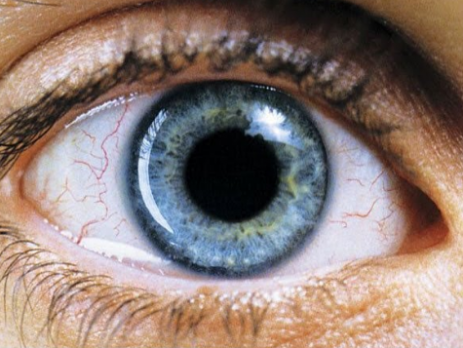 bir rüya için ağıt